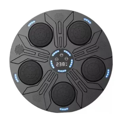 ENTRENADOR BOXEO ADULTOS