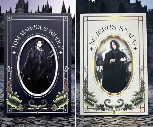 AGENDA SNAPE POTTER X2