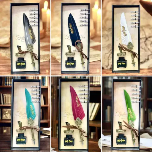 PLUMA POTTER CON BASE X4